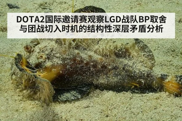 DOTA2国际邀请赛观察LGD战队BP取舍与团战切入时机的结构性深层矛盾分析